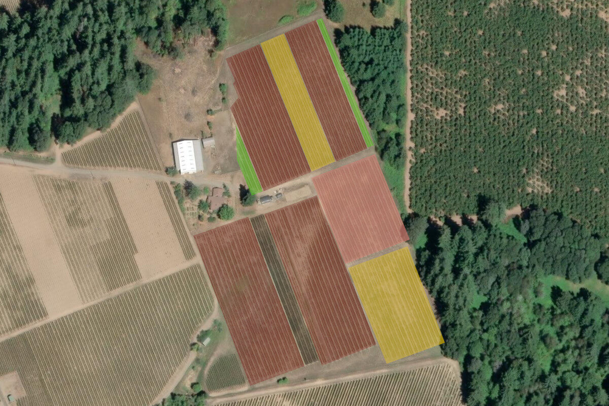 Windy Ridge Vineyard